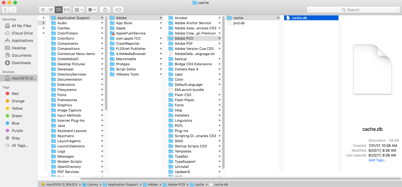 Adobe Flash Cs3 Torrent